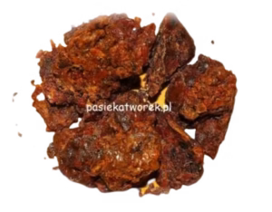 Propolis – „Kit pszczeli” Partia 01-08-2025 1 (szt. = 50 g.)