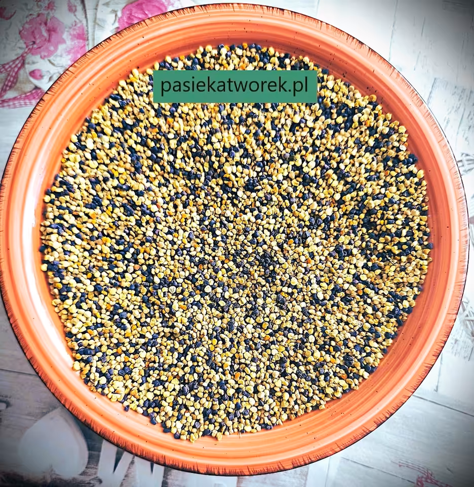 Pyłek kwiatowy 1,00 kg (Partia P 10-07-2026)
